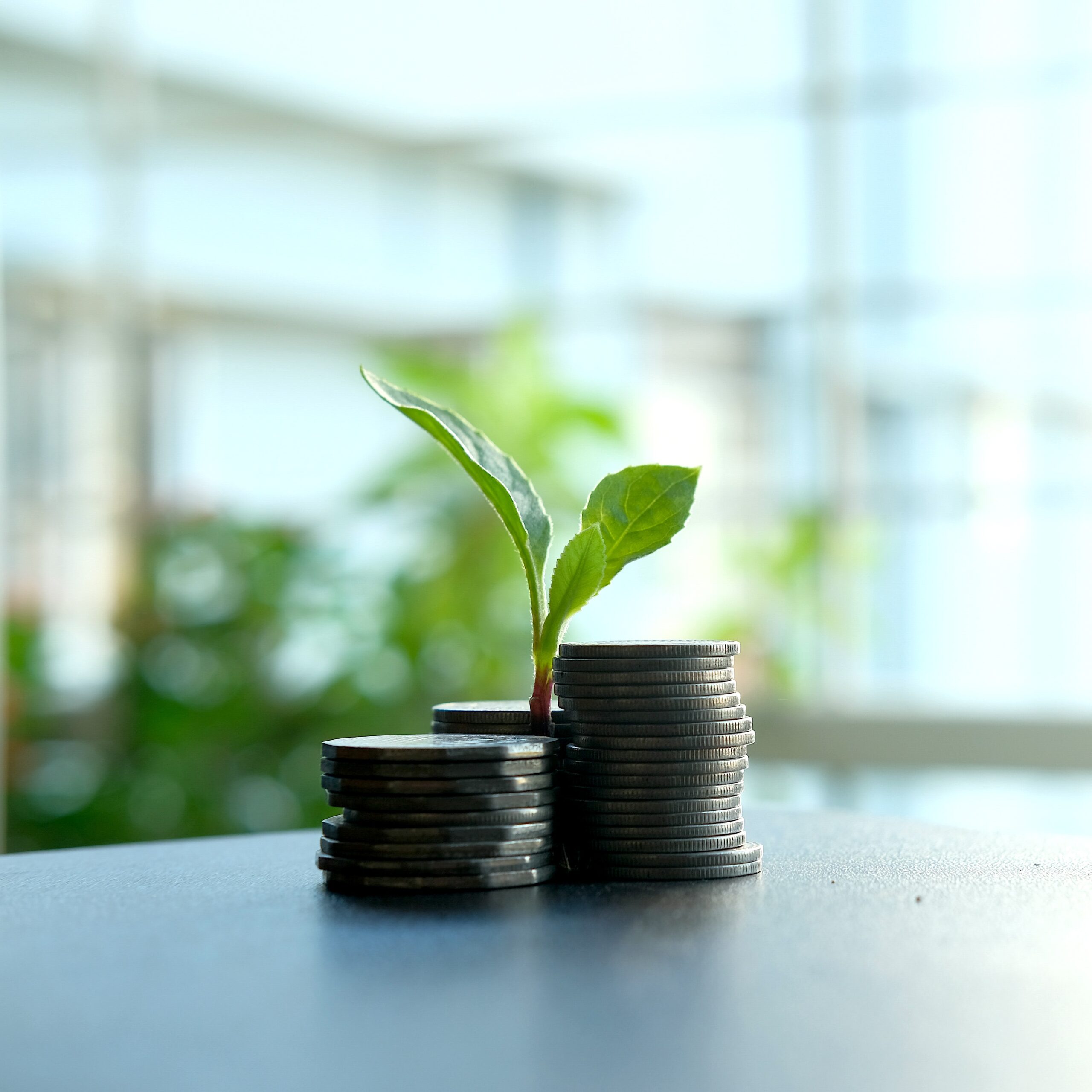 Green Finance square