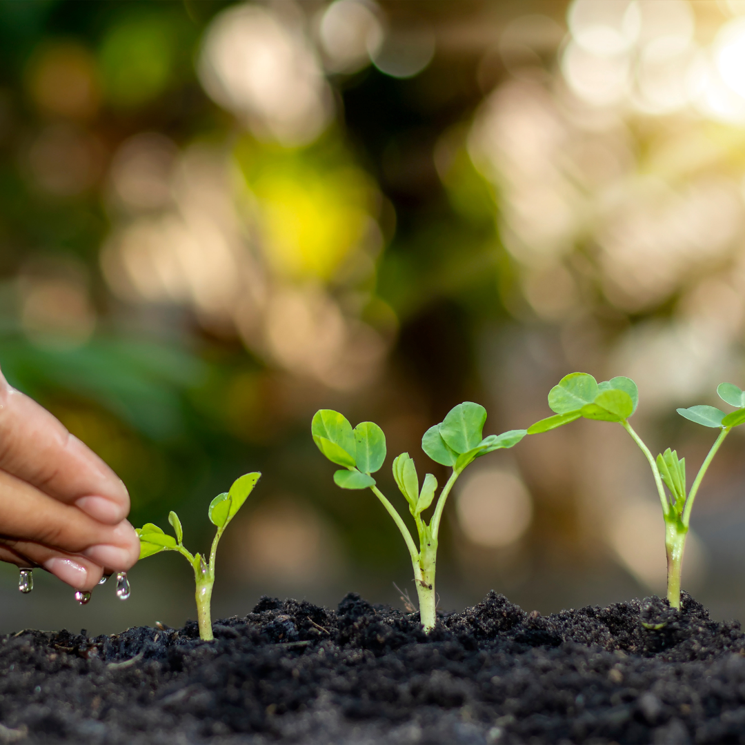 Sustainability 2 square