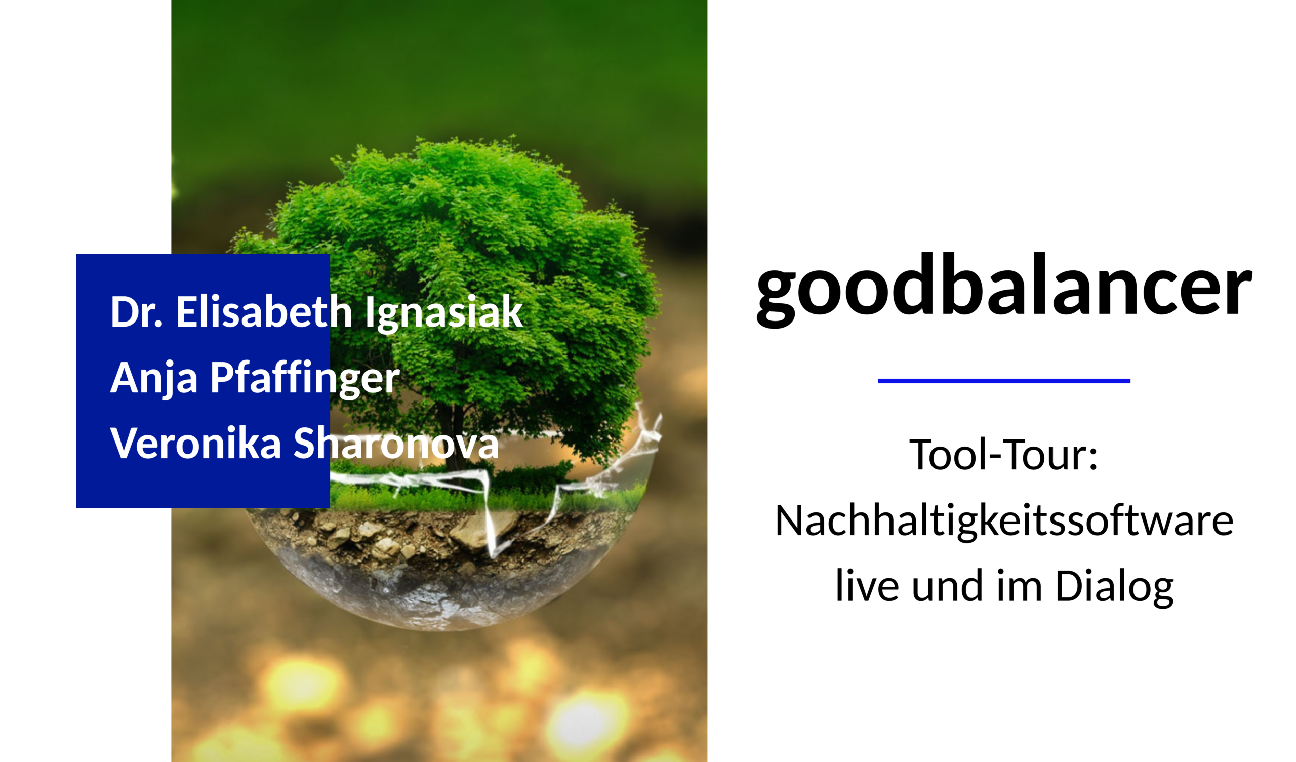 goodbalancer_tool-tour